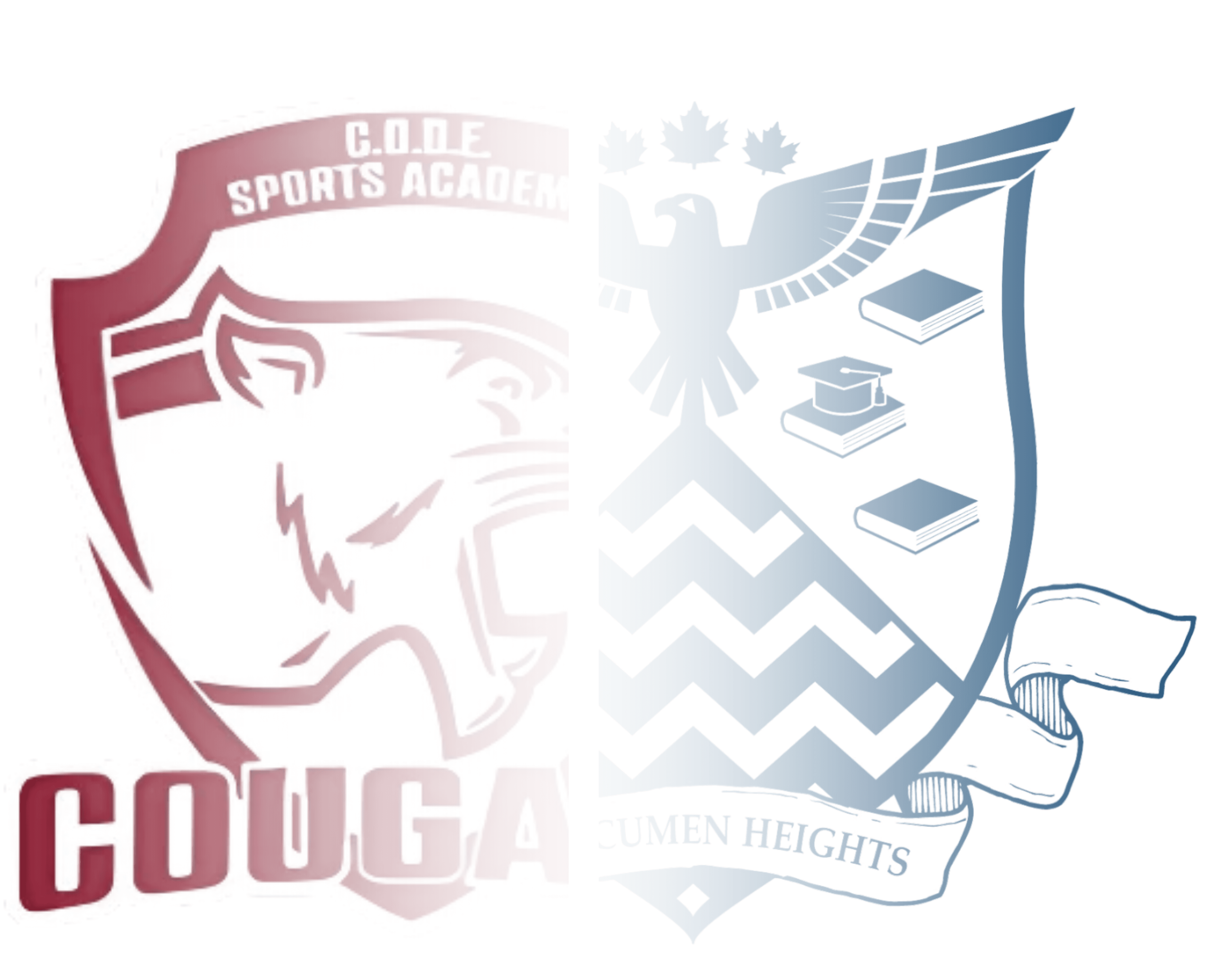 AAH & CODE |Building Literacy, Leadership, and Global Citizenship